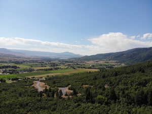 View of mountain background with a forest