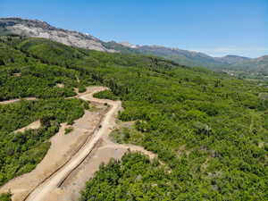 Aerial view of a mountainous background and a heavily wooded area