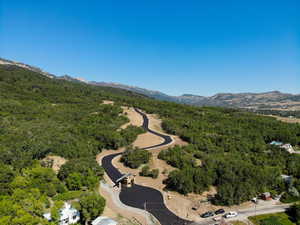 Drone / aerial view of a forest and a mountain backdrop