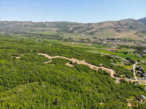 View of mountain background featuring a forest