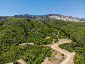 Mountain view featuring a forest