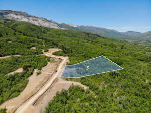Aerial view of property and surrounding area featuring property boundaries highlighted, a mountainous background, and a forest