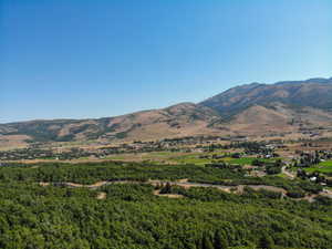 View of mountain backdrop featuring a forest