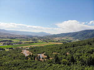 View of mountain backdrop featuring a heavily wooded area