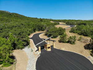 Bird's eye view of a heavily wooded area