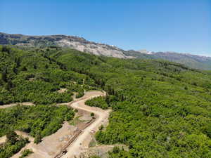 View of mountain backdrop with a forest