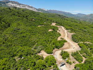 Bird's eye view of a forest and mountains