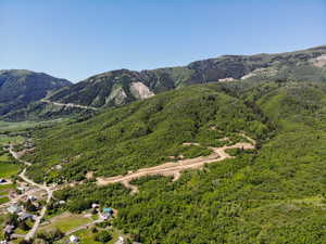 View of mountain background featuring a heavily wooded area