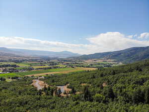 View of mountain background with a heavily wooded area