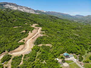 Aerial view of a heavily wooded area and a mountain backdrop
