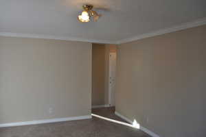 Spare room featuring ornamental molding and dark colored carpet