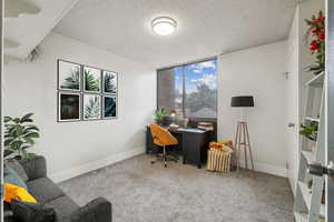 Office featuring floor to ceiling windows, a textured ceiling, and carpet