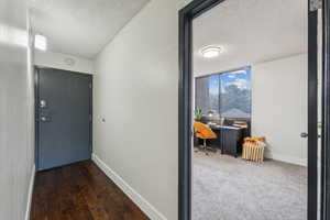 Entry Corridor with wood like flooring