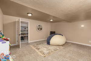 Game room with carpet flooring and a textured ceiling