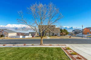 View of yard with a mountain view