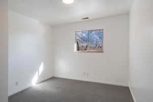 Carpeted empty room featuring a healthy amount of sunlight