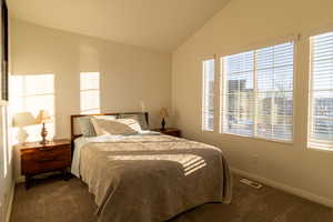 Carpeted bedroom featuring vaulted ceiling