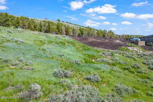 View of landscape