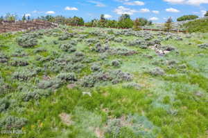 View of local wilderness