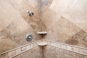 Room details with tiled shower