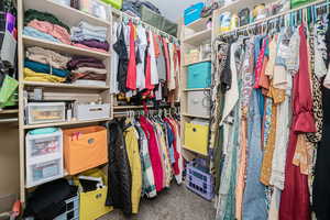 Spacious closet with carpet