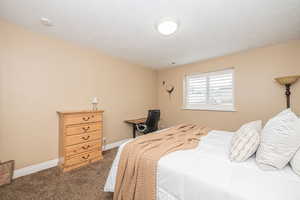 Bedroom featuring carpet floors and a textured ceiling