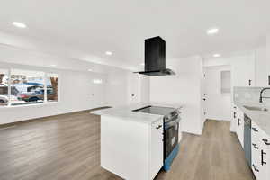 Kitchen featuring white cabinetry, sink, island range hood, and stainless steel appliances