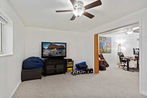 Recreation room with ceiling fan and light carpet