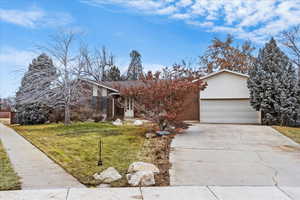 View of property hidden behind natural elements with a garage and a front lawn