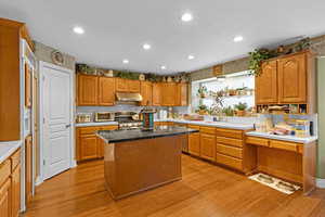 Kitchen featuring sink, dark stone counters, a center island, light hardwood / wood-style floors, and stainless steel appliances