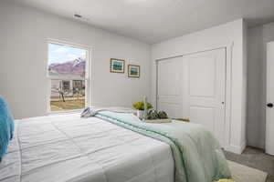 Bedroom with carpet, a closet, and a textured ceiling