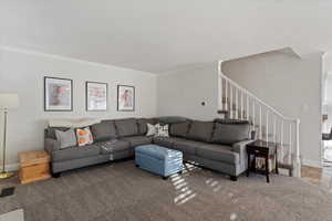 Carpeted living room with crown molding