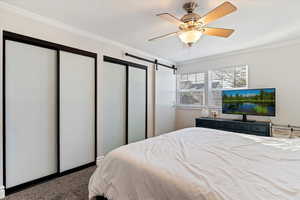 Bedroom featuring ornamental molding, two closets, ceiling fan, a barn door, and carpet