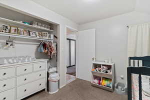 Carpeted bedroom featuring vaulted ceiling