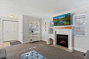 Carpeted living room with ornamental molding, plenty of natural light, and a fireplace