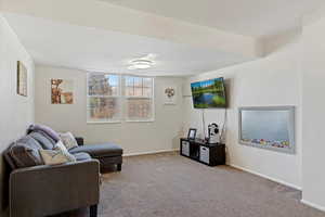 Living room featuring carpet flooring