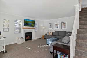 Living room featuring ornamental molding and carpet