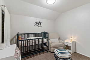 Carpeted bedroom with lofted ceiling and a nursery area