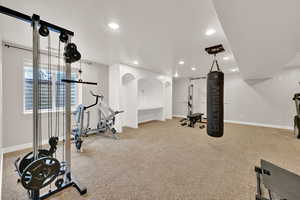 Workout area featuring carpet