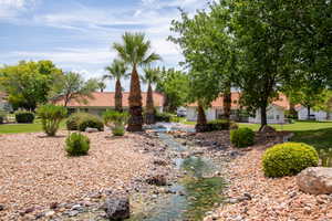 Natural Wetlands run through the back yard