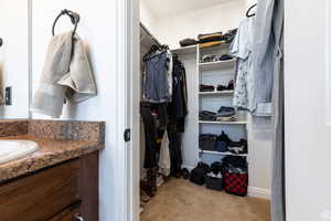 Spacious closet with sink and light carpet