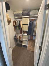 Spacious closet featuring dark colored carpet