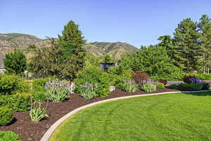 View of yard with a mountain view