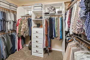 Spacious closet with carpet