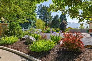 View of yard featuring a mountain view