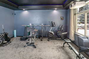 Exercise room with a tray ceiling, ornamental molding, and carpet