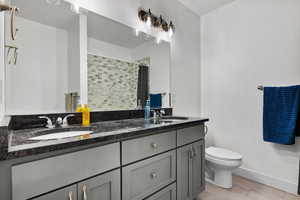 Bathroom with vanity, toilet, and a shower with shower curtain