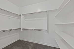 Spacious closet with dark colored carpet