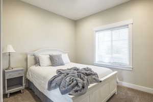 Carpeted bedroom featuring multiple windows