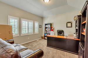 Office with light carpet, vaulted ceiling, and a tray ceiling